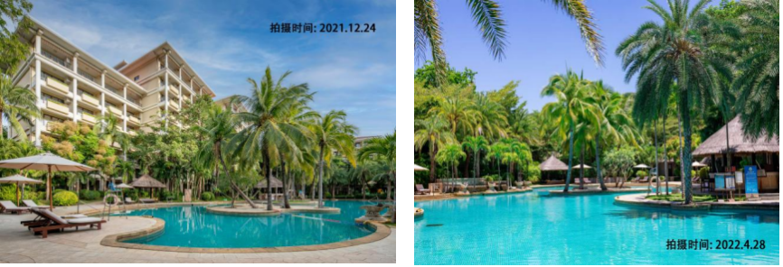 海南省气候治疗和康养协会
