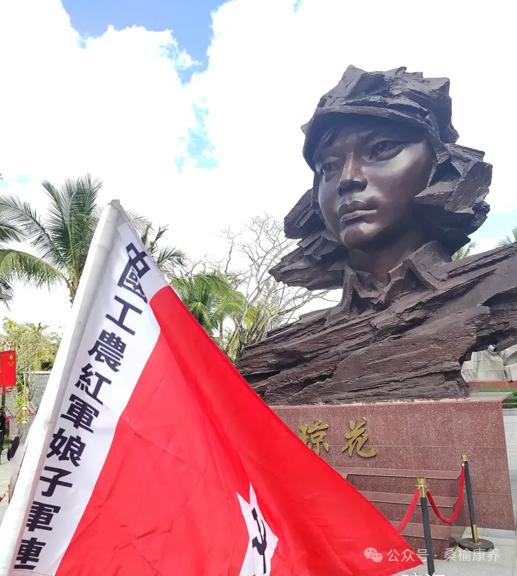 海南省气候治疗和康养协会 图片