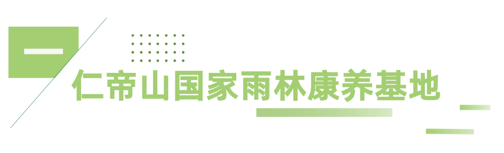 海南省气候治疗和康养协会 图片