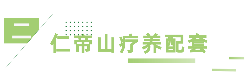 海南省气候治疗和康养协会 图片