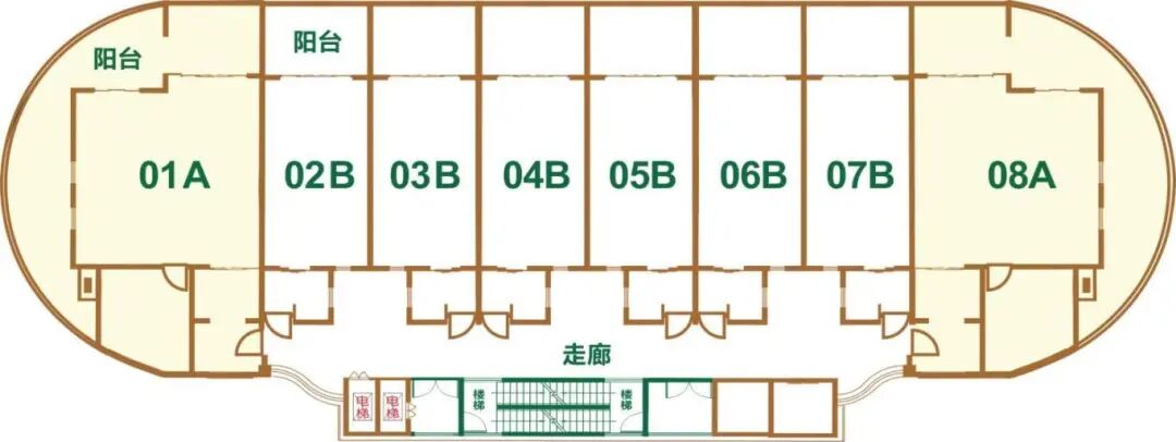 海南省气候治疗和康养协会 图片