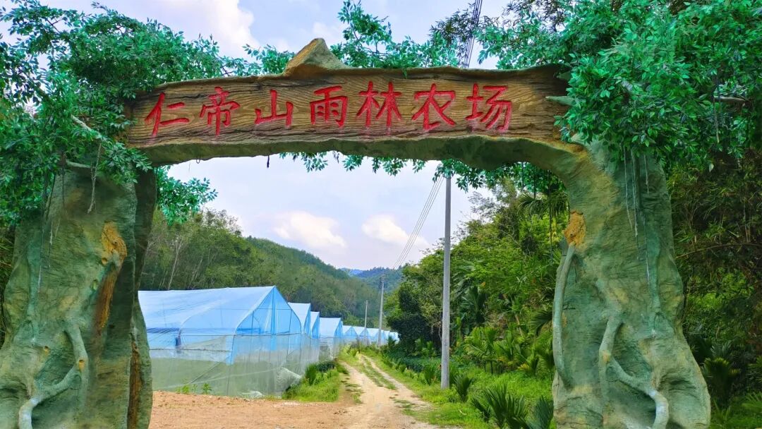 海南省气候治疗和康养协会 图片