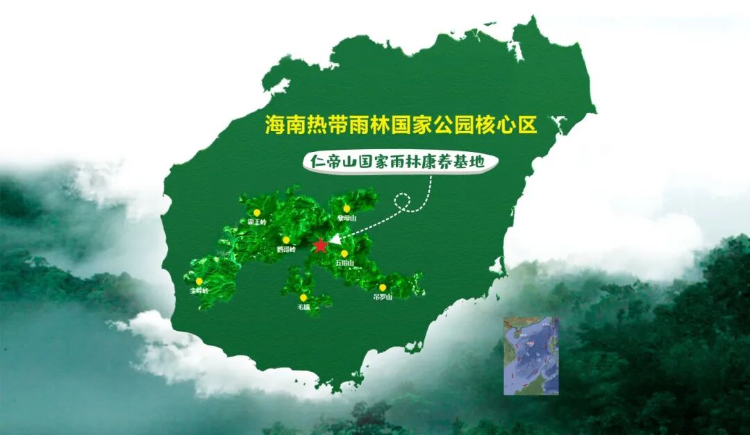 海南省气候治疗和康养协会 图片