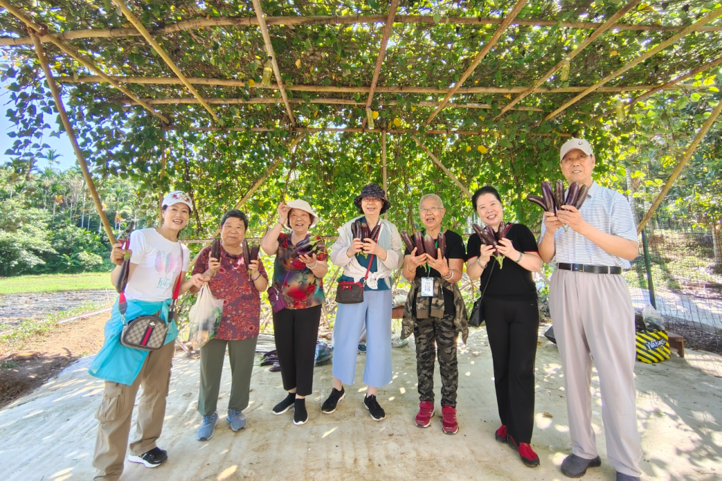 海南省气候治疗和康养协会 935541a73e7a88a64932824b1e9343b(1).jpg