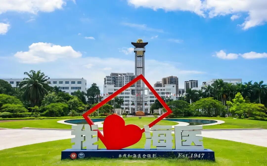 海南省气候治疗和康养协会 图片