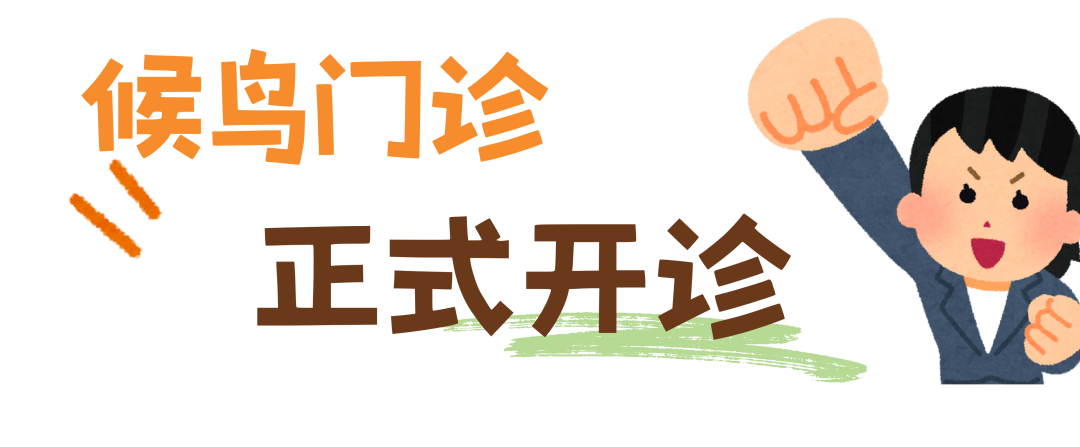 海南省气候治疗和康养协会 图片