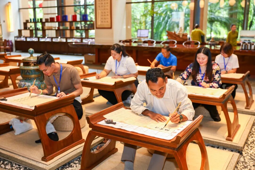 海南省气候治疗和康养协会 图片