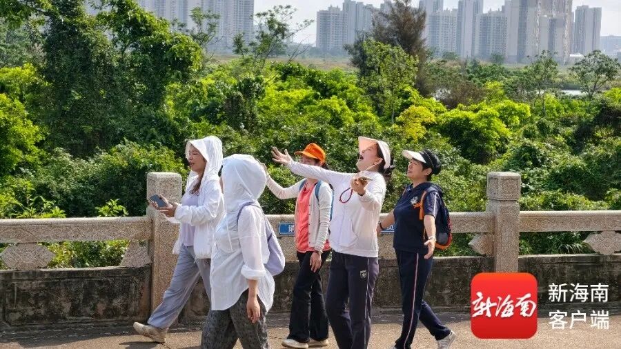 海南省气候治疗和康养协会 图片