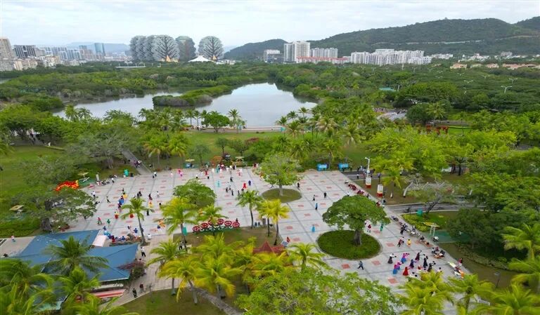 海南省气候治疗和康养协会 图片